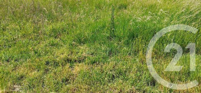 terrain à vendre - 485.0 m2 - CHAMBLY - 60 - PICARDIE - Century 21 Osmose