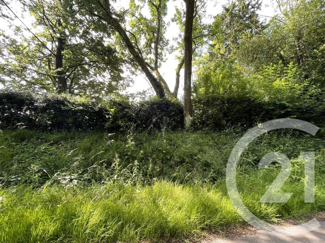 terrain à vendre - 1190.0 m2 - ANDEVILLE - 60 - PICARDIE - Century 21 Osmose