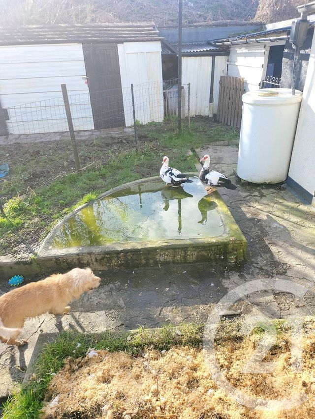 maison à vendre - 6 pièces - 163.0 m2 - CHAMBLY - 60 - PICARDIE - Century 21 Osmose